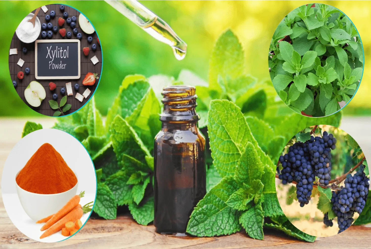 The Science Behind BioDentex